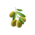 Aceitunas