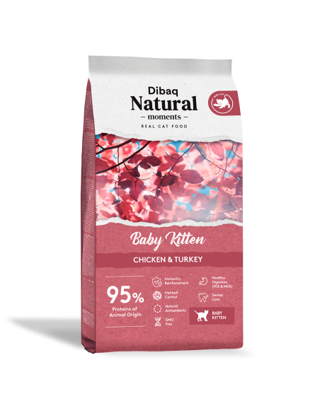 Dibaq Natural Moments Gatito |Gatos | Dibaq