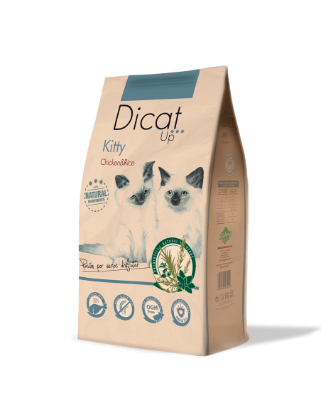 Dicat Up Gatito Pollo y Arroz |Gatos | Dibaq