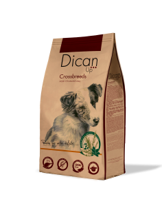Dican Up Crossbreeds (Adult) |Dogs| Dibaq