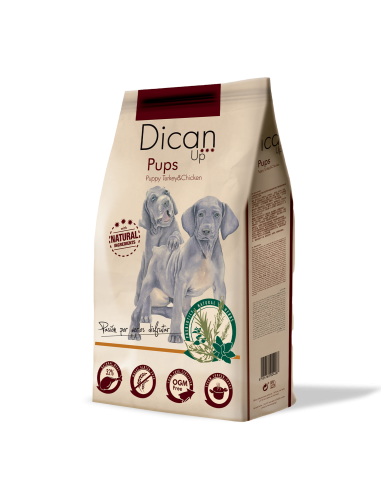 Dican Up Pups (Cachorro) |Cães| Dibaq