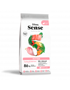 Dibaq Sense Cat Kitten |Cats| Dibaq