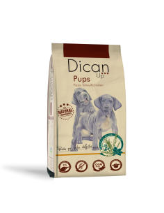 Dican Up Pups (Puppy) |Dogs| Dibaq