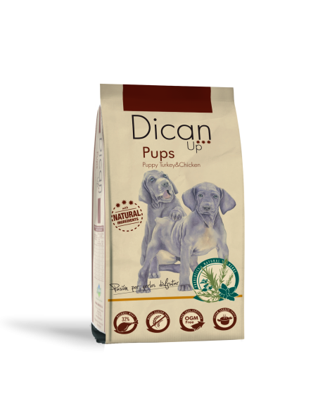 Dican Up Pups (Puppy) |Dogs| Dibaq