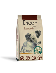 Dican Up Crossbreeds (Adulto) |Cães| Dibaq