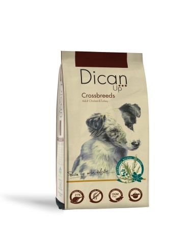 Dican Up Crossbreeds Adulto |Alimento Seco | Dibaq