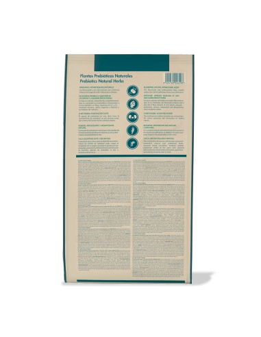 Dicat Up Adult Fish and Rice |Dry food| Dibaq