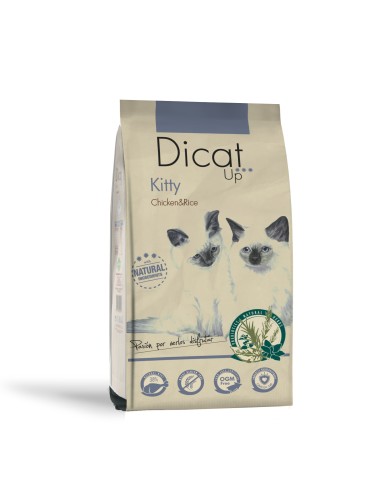 Dicat Up Gatito Pollo y Arroz |Alimento Seco | Dibaq