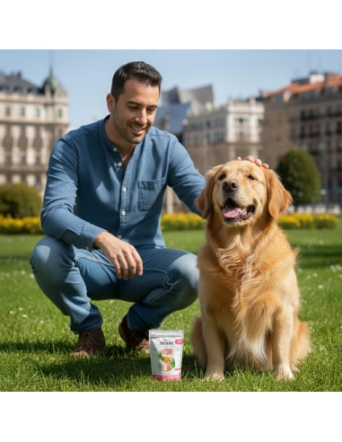 Dibaq Sense Snack Dental Cerdo |Snacks para perros | Dibaq