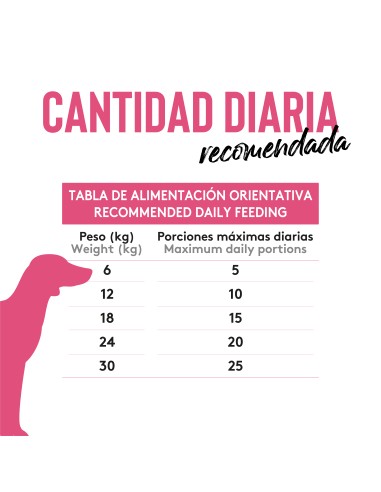 Dibaq Sense Snack Dental Pig |Snack| Dibaq