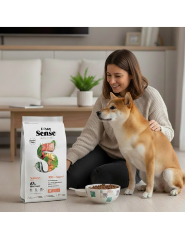 Dibaq Sense Grain Free Salmão |Alimento Seco| Dibaq