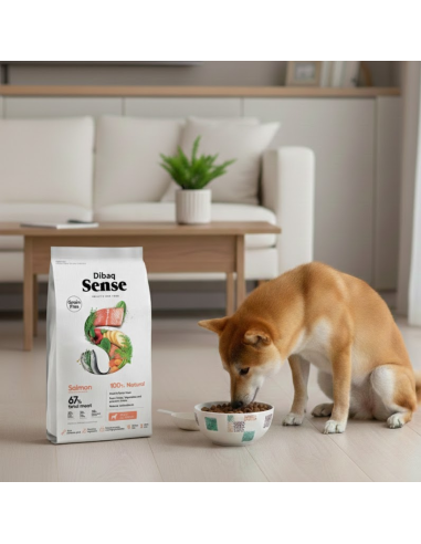 Dibaq Sense Grain Free Salmão |Alimento Seco| Dibaq