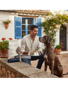 Perrymix Salmón |Alimento Seco | Dibaq 2