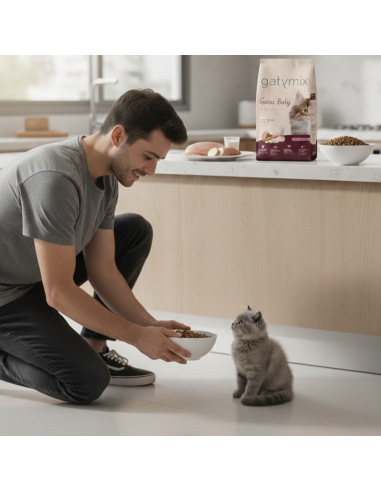 Gatymix Gatito |Alimento Seco | Dibaq