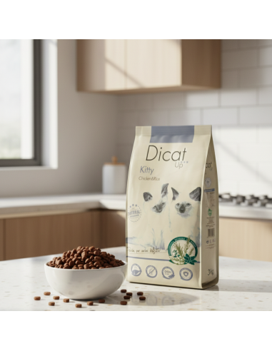 Dicat Up Gatito Pollo y Arroz |Alimento Seco | Dibaq