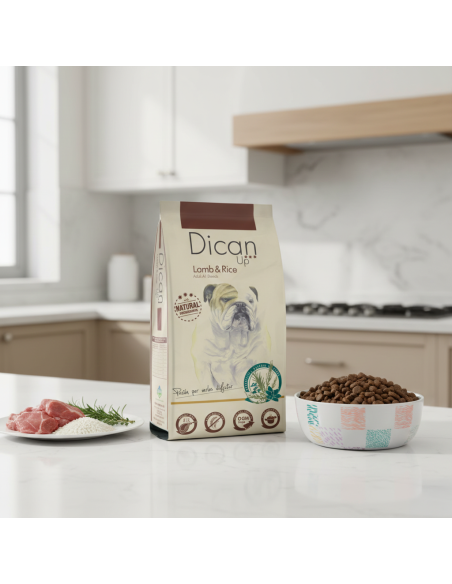Dican Up Cordero y Arroz |Alimento Seco | Dibaq