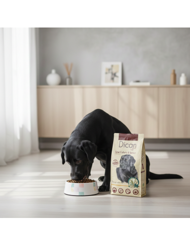 Dican Up Low Caloric or Senior |Dry food| Dibaq