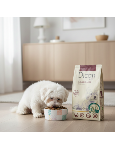 Dican Up Razas Pequeñas |Alimento Seco | Dibaq