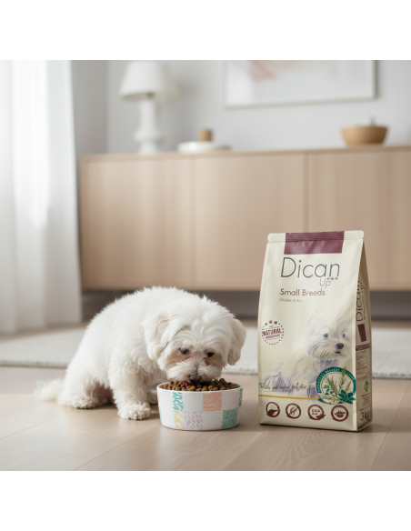 Dican Up Razas Pequeñas |Alimento Seco | Dibaq