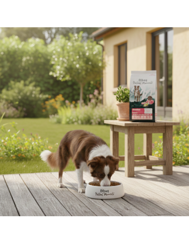 Dibaq Natural Moments 5 Star Mountain |Dry food| Dibaq