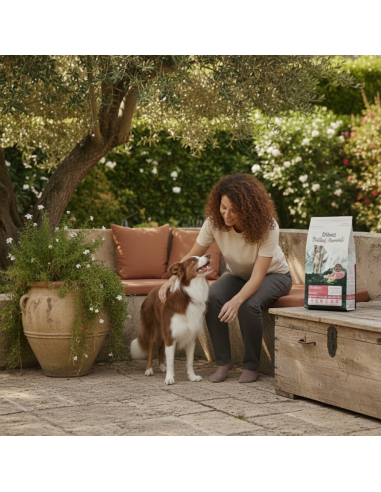 Dibaq Natural Moments 5 Star Mountain |Dry food| Dibaq