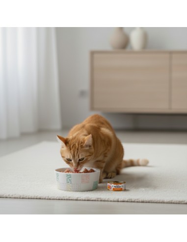 Dibaq Sense Cat Sterilised Turkey with Pumpkin |Wet food| Dibaq