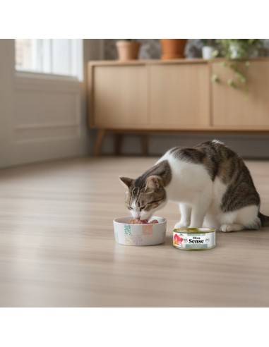 Dibaq Sense Cat Atum e Coelho com Abóbora |Alimento Húmido| Dibaq
