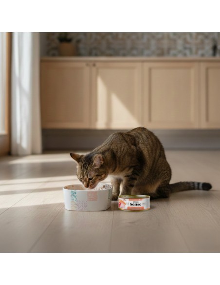 Dibaq Sense Cat Chicken and Salmon with Apple |Wet food| Dibaq
