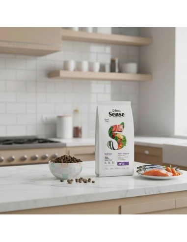 Dibaq Sense Grain Free Salmão Mini |Alimento Seco| Dibaq