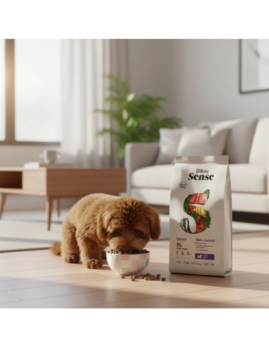 Dibaq Sense Grain Free Salmón Mini |Alimento Seco | Dibaq
