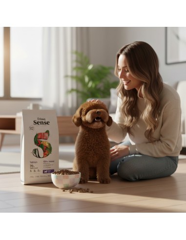 Dibaq Sense Grain Free Salmão Mini |Alimento Seco| Dibaq