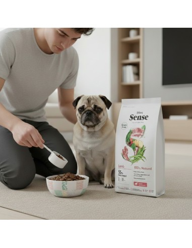 Dibaq Sense Grain Free Lamb |Dry food| Dibaq
