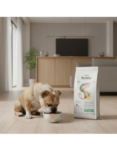 Dibaq Sense Grain Free Pato e Peru Light ou Senior |Alimento Seco| Dibaq