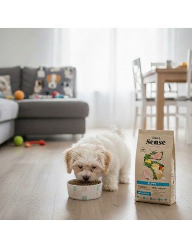 Dibaq Sense Low Grain Puppy (Chicken) |Dry food| Dibaq