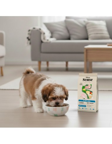 Dibaq Sense Low Grain Puppy Mini (Chicken) |Dry food| Dibaq