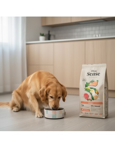 Dibaq Sense Low Grain Fish (Adult) |Dry food| Dibaq