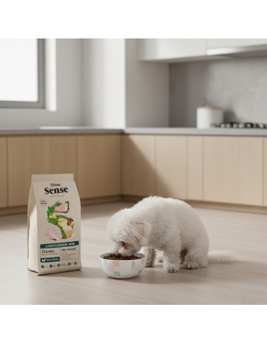 Dibaq Sense Low Grain Frango Light or Senior Mini |Alimento Seco
