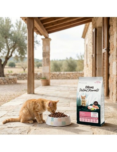 Dibaq Natural Moments 5 Star Kitten |Dry food| Dibaq