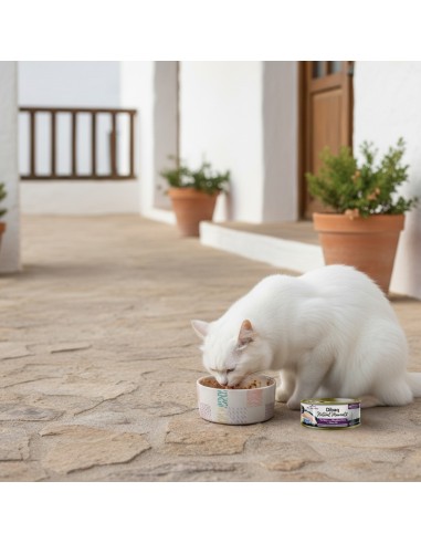 Dibaq Natural Moments 5 Star Esterilizado Pavo con Arándanos |Alimento Húmedo para gatos | Dibaq