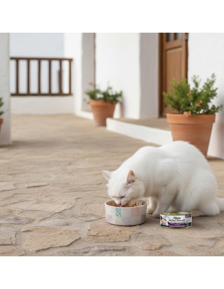 Dibaq Natural Moments 5 Star Esterilizado Pavo con Arándanos |Alimento Húmedo para gatos | Dibaq