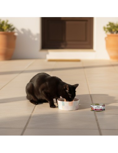 Dibaq Natural Moments 5 Star Sterilised Beef with Papaya |Wet food| Dibaq