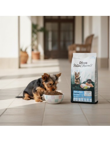 Dibaq Natural Moments 5 Star Turkey and Chicken Adult Large Breeds |Dry food| Dibaq