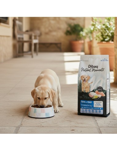 Dibaq Natural Moments 5 Star Turkey and Chicken Puppy medium breeds |Dry food| Dibaq