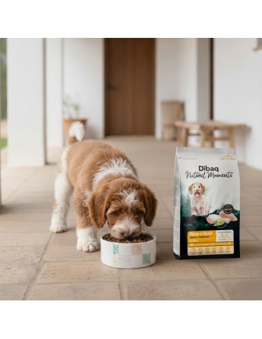 Dibaq Natural Moments 5 Star Peru e Frango Raças médias adultas |Alimento Seco| Dibaq