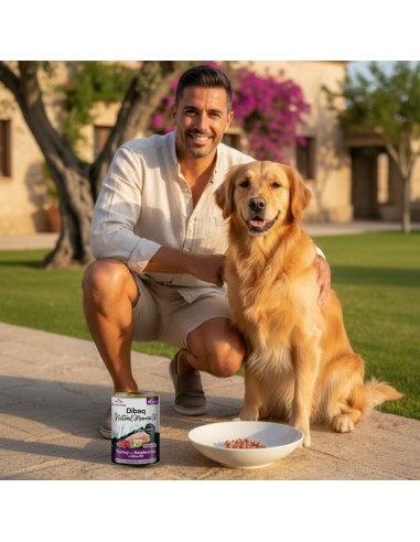 Dibaq Natural Moments Adult Turkey with Raspberry |Wet food| Dibaq
