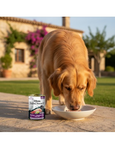 Dibaq Natural Moments Adult Turkey with Raspberry |Wet food| Dibaq