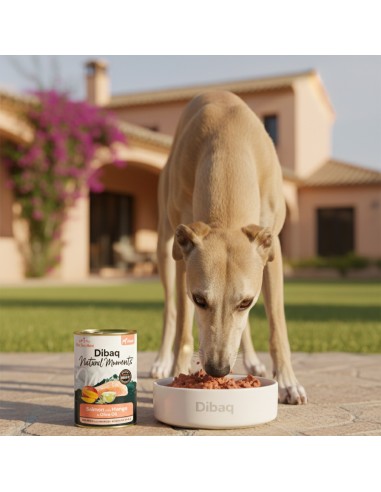 Dibaq Natural Moments Adult Salmon with Mango |Wet food| Dibaq