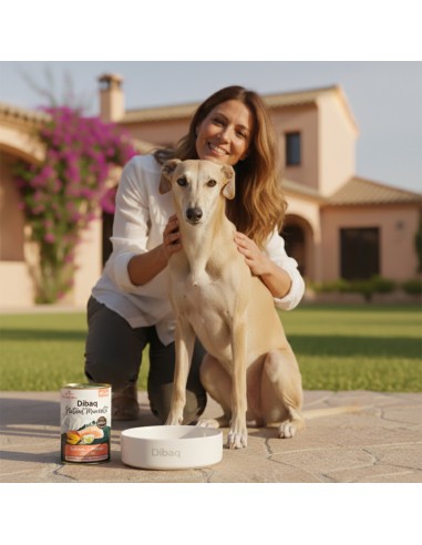 Dibaq Natural Moments Adult Salmon with Mango |Wet food| Dibaq