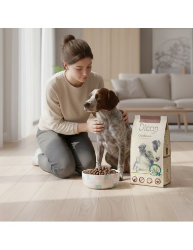 Dican Up Crossbreeds (Adulto) |Alimento Seco| Dibaq