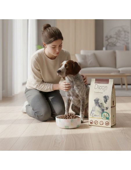 Dican Up Crossbreeds (Adulto) |Alimento Seco| Dibaq